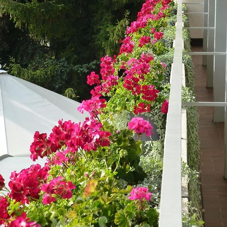 Hotel Zur Flueh บัดแซคคิงเงน ภายนอก รูปภาพ